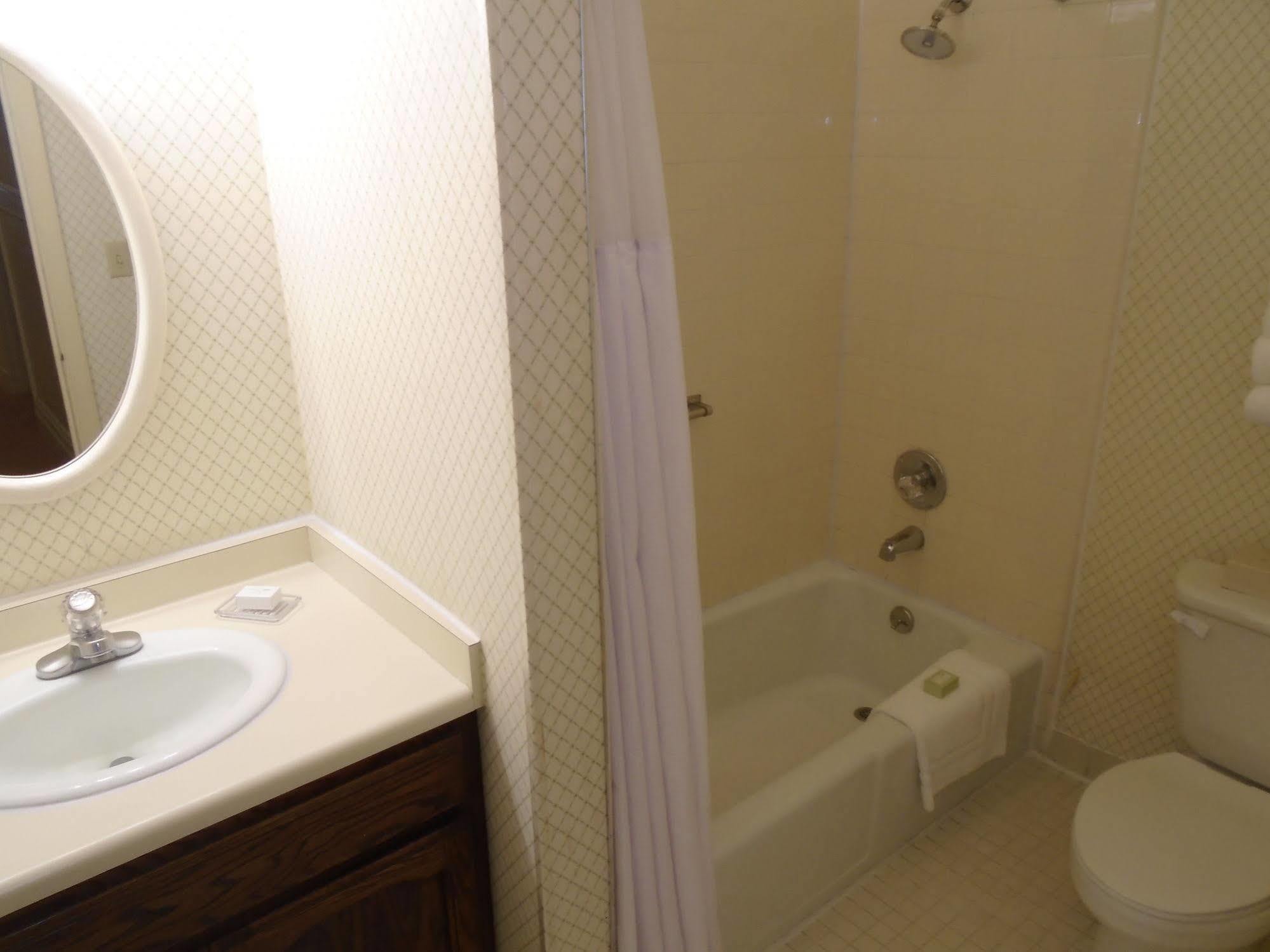 Stanyan Park Hotel San Francisco Ngoại thất bức ảnh